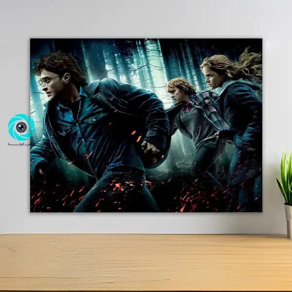 شاسی هری پاتر طرح ده