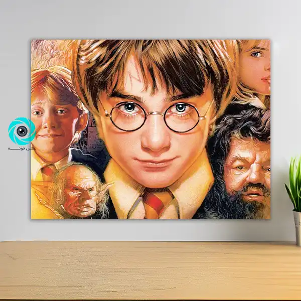 شاسی هری پاتر طرح هفت