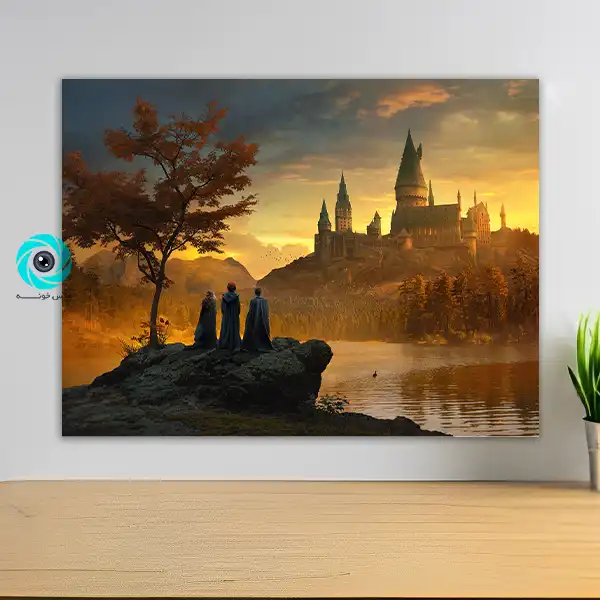 شاسی هری پاتر طرح یک